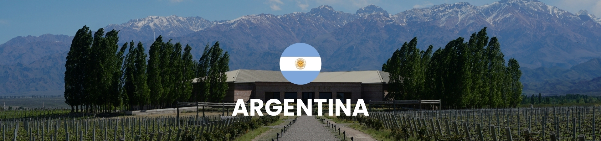 Loja de vinhos online em Teresina