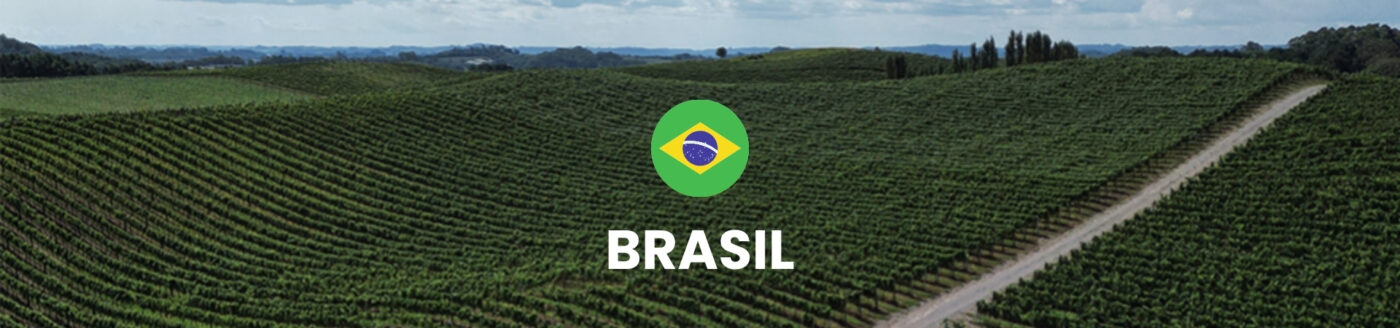 Banner promocional da Winery Brasil com imagem de garrafas de vinhos brasileiros e taças