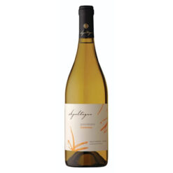 Gran Verano Chardonnay: O Chile em Sua Taça! Descubra este branco que combina: Aromas tropicais e frescor. Harmonização perfeita com frutos do mar. Ideal para dias de verão