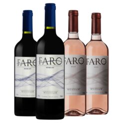 Promoção de vinhos em Teresina Piauí – Winery Brasil, delivery e ofertas especiais