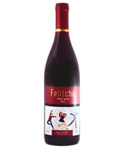 Garrafa do Felitche Pinot Noir 2021, rótulo moderno em tons rubi, vinho tinto chileno do Valle Central para delivery em Teresina.
