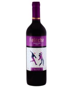 Garrafa do vinho Felitche Carménère 2020, rótulo elegante em tons rubi, vinho tinto chileno do Valle de Curicó para delivery em Teresina