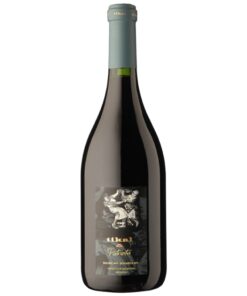 Garrafa de Tikal Patriota, vinho tinto argentino Bonarda e Malbec, disponível para delivery em Teresina pela Winery Brasil.