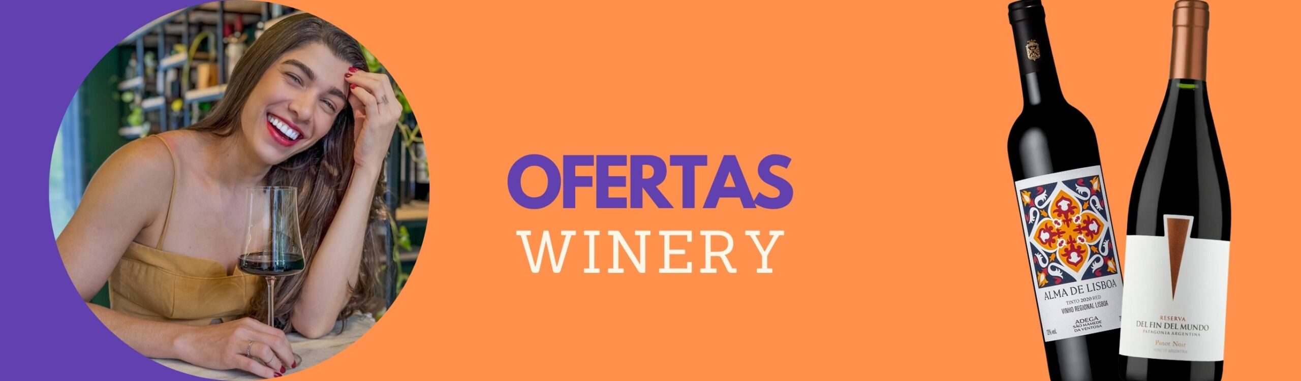 Banner de promoção de vinhos na Winery Brasil destacando ofertas em vinhos franceses, argentinos, chilenos e portugueses, como La Vieille Ferme, Doña Paula Telmo Malbec, Del Fin del Mundo Reserva e Alma de Lisboa Tinto.