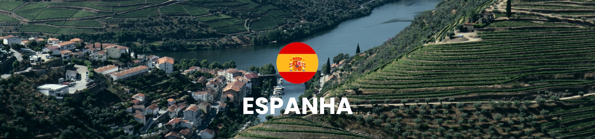 Banner promocional da Winery Brasil com imagem de garrafas de vinhos espanhóis e paisagem de vinhedos na Espanha. Texto: "Vinhos Espanhóis - Entrega em Teresina".