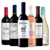 Kit 6 vinhos renomados em Teresina – Compre na Winery Brasil, referência em vinhos e ofertas no Piauí
