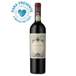 Foto do Vinho DV Catena Tinto Histórico 2022 disponível na Winery, melhor loja de vinhos em Teresina, Piauí.