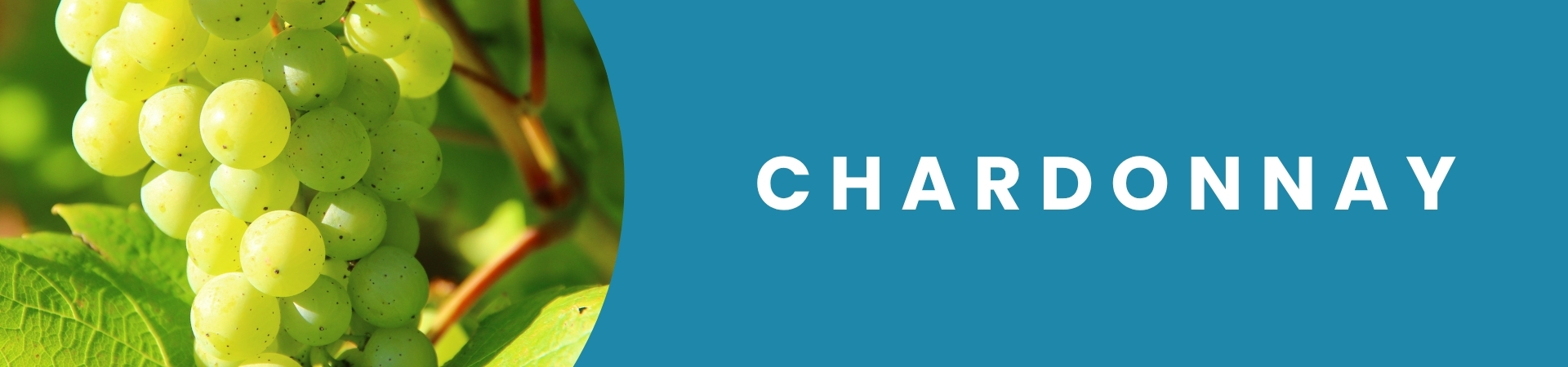 Garrafas de vinho branco Chardonnay da Winery Brasil com entrega delivery em Teresina.