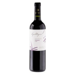 Winery Brasil - Delivery de vinhos em Teresina, garrafas de vinho tinto, branco e espumante organizadas em adega moderna