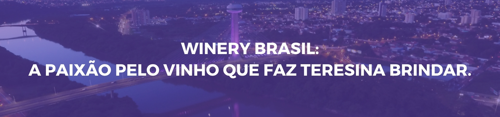 Autoridade em vinhos em Teresina – Descubra a Winery Brasil, referência local para comprar vinhos de qualidade no Piauí