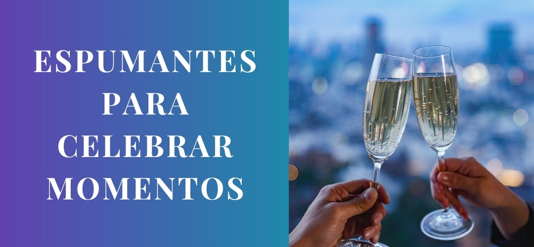 Garrafas e taças de espumante destacando o frescor e a sofisticação dos vinhos disponíveis para delivery em Teresina pela Winery Brasil.