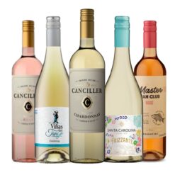Foto do kit com 5 vinhos brancos e rosés para o BRO Bró disponível na Winery, melhor loja de vinhos em Teresina, Piauí.