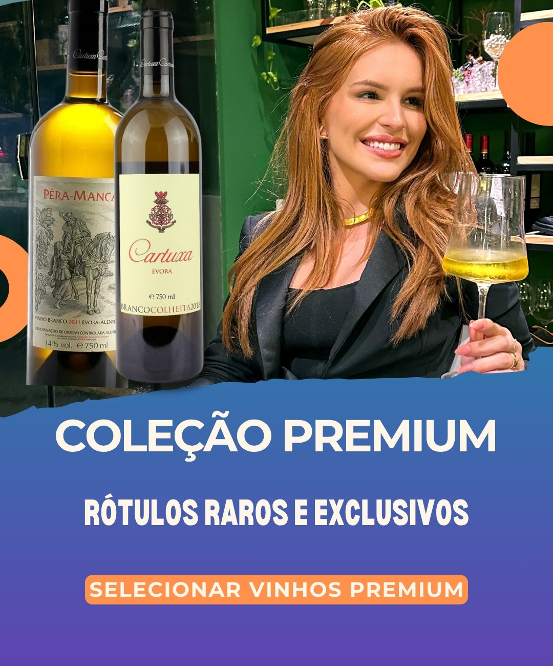 Banner da seção de Vinhos Premium e Exclusivos da Winery Brasil. O melhor lugar para comprar vinhos raros e selecionados em Teresina, capital do Piauí, com atendimento personalizado e entrega rápida.