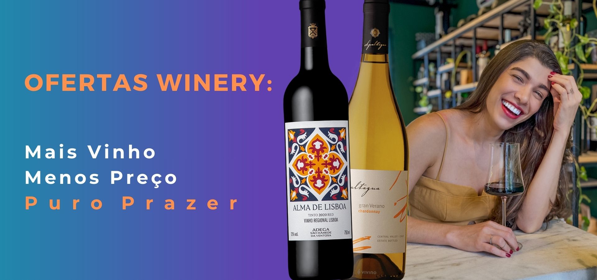 Banner da seção de Ofertas e Promoções. O melhor lugar para comprar vinhos com desconto em Teresina, capital do Piauí. Confira as promoções exclusivas com entrega rápida na Winery Brasil.